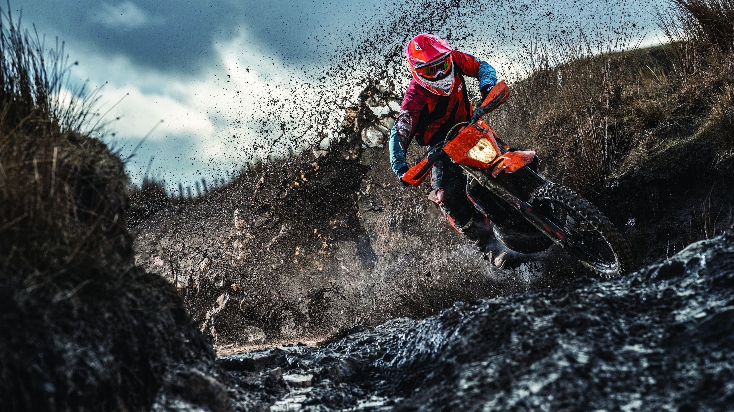 德国马术协会举办马术运动员国际交流活动，促进文化互鉴。，德国马术选手